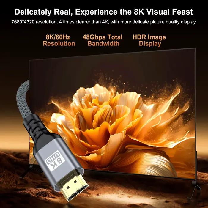 Câble HDMI 2.1 pour TV