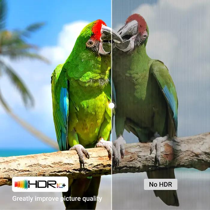 Câble Compatible HDMI pour TV et Xiaomi Box