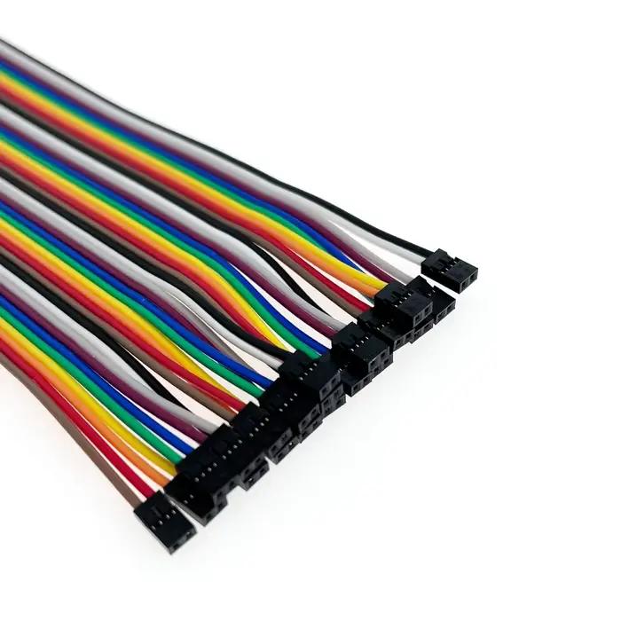 Câble Dupont 2P à 2P, 20cm, pas de 2mm, femelle à femelle, nouveau
