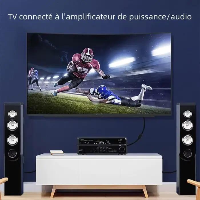 Câble audio coaxial numérique RCA vers RCA