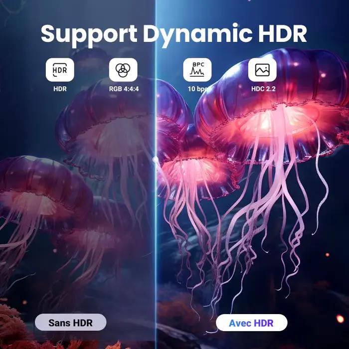 Câble DisplayPort 8K DP 1.4